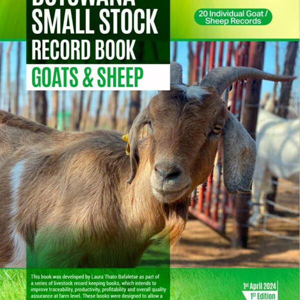 20 Individual Goats/Sheeps